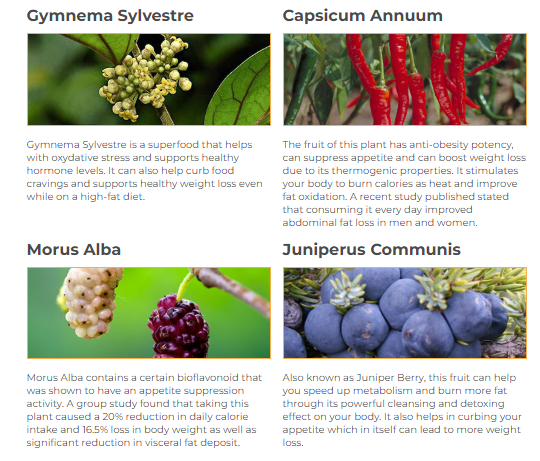 Focus on natural ingredients for holistic wellness.